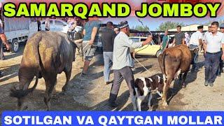 SOTILGAN VA QAYTGAN MOLLAR NARXLARI SAMARQAND JOMBOY MOLBOZORI 04.08.2024