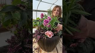 First spring container! Yay! 