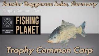 Fishing Planet Trophy Common Carp Sander Baggersee Lake Germany Guide