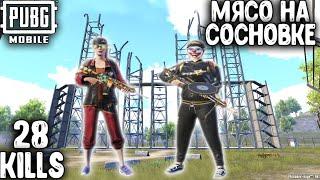 МЯСО НА СОСНОВКЕ В ПАБГ МОБАЙЛ | ТОП - 1 В ПУБГ МОБАЙЛ | PUBG MOBILE