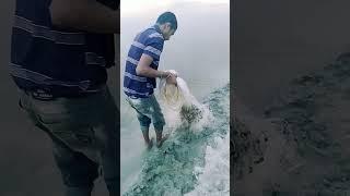 https://youtu.be/9Sh2HJsIv8w