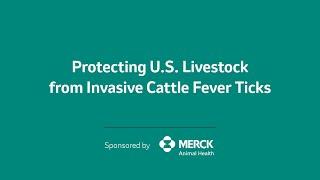 Controlling Cattle Fever Ticks in Livestock