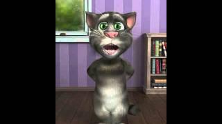 TalkingTom- первая рота охраны).mp4