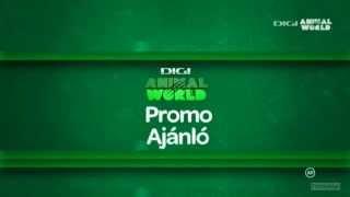 DIGI Animal World Hungary / Romania NEW! Promo 06-12-12