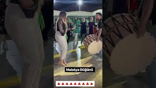 Malatya Halayı (ABONE OL) #cityorganizasyon #youtube #fyp #halay #tiktok #düğün #shorts #kına