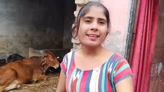 क्या - क्या करना पड़ता है | Rakhi cooking | Sujata sawariya vlogs | #dailyvlog #viral