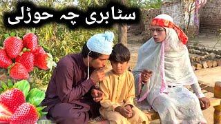 Stabre Cha Hwrale || Pashto New Funny Video 2023 by Tuti Gull Official