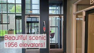 Epic scenic 1956 Titan elevators - Rødovre town hall, Denmark