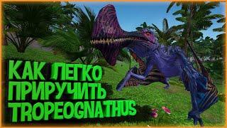 КАК ЛЕГКО ПРИРУЧИТЬ TROPEOGNATHUS в ARK Survival Evolved