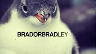 BRADORBRADLEY - Messing Around Mix