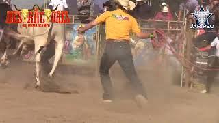 COLECCION DORADA JARIPEO DE LAS ESTRELLAS