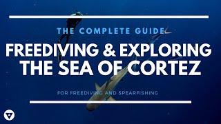 The Complete Guide | Freediving And Exploring The Sea Of Cortez