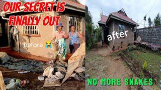 SIMPLE VILLAGE TRICKS to Keep SNAKES & RATS AWAY!  You Won’t Believe This!"