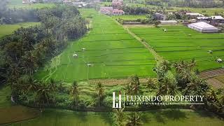 UBUD – RICE FIELD VIEW LAND FOR SALE