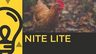 Solar Powered LED Chicken Coop Night Light