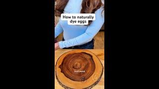 nature always provides!! @jeffandlizoriginalvids #eggs #naturaldye #dyedeggs