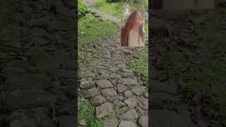 harus diet lagi sih ini 