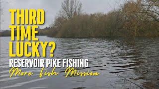 Fishing for pike using pop-up deadbaits #pikefishing2024 #pike #fishing2024 #fishingtips