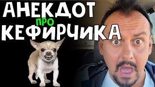 Анекдот про Кефирчика | юморист | Анекдоты от Алекса