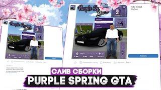 СЛИВ ПРИВАТНОЙ СБОРКИ PURPLE SPRING GTA РАДМИР РП | СБОРКА РАДМИР | СБОРКА РАДМИР РП 6.0 | РАДМИР РП