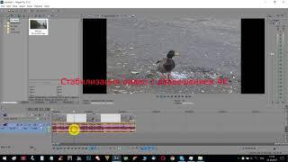 Стабилизация видео в Sony Vegas 13 и Vegas 15. Ошибка. Вылет программы.