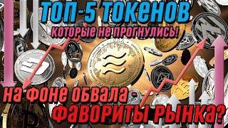 Криптозима! На фоне обвала – топ-5 токенов которые не прогнулись: новый виток роста. Фавориты рынка?