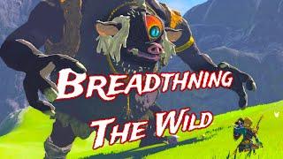 5 Out-There Additions to Improve Breath of the Wild