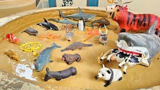 A Fun Filled Adventure: Exploring Farm Animals and Deep Sea Creatures for Kids!