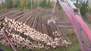 Timber Loading -  Palfinger Epsilon M12L