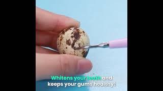 Ultrasonic Tooth Cleaner - Smile Therapy