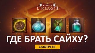 Где брать сайху в Lineage 2 Essence