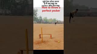 #trending #cricket #short #viral how to throw a perfect yocker