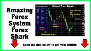 [NEW] Forex Shark I Forex Shark Review