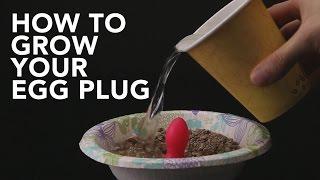 Egg Plug Growth Guide