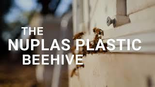 The Nuplas Plastic Beehive - Product Focus