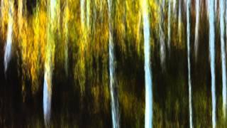 Blow the wind southernly 04   VACKSBOOK