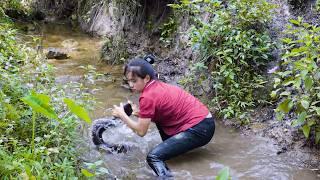 How to harvest giant fish pond Goes to sell at the market, Big Hand Fishing, Wild Fishing Exciting