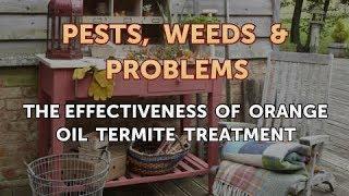 The Effectiveness of Orange Oil Termite Treatment