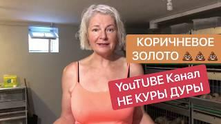 Куда девать куриный помет летом? Как удобрять куриным пометом.