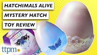 Hatchimals Are Back!!