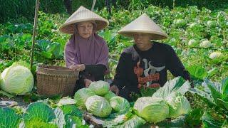 Masak Untuk Tamu | Panen Kubis, Masak Soto Batok Khas Jogja, Tahu Isi, Lempeng, dan Es Kelapa Muda