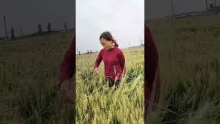 Meaningful Rural Stories. Funny, interesting stories every day. Top funny daily #162