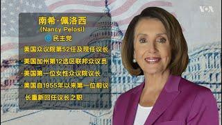 美国众议院议长南希·佩洛西简介