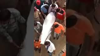 Mortal remains of Sidhu Mossewala taken for cremation | Oneindia News