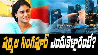 ష‌ర్మిల సింగ‌పూర్ ఎందుకెళ్లారంటే?। What Is YS Sharmila Doing In Singapore?|R24 Telugu