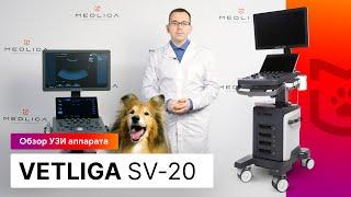 Обзор ветеринарного УЗИ аппарата VETLIGA SV-20