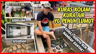 KURAS KOLAM & KUMPULIN SEMUA KOLEKSI KURA YANG ADA DI  KOLAM