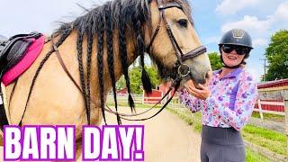 A REAL Day in the Life at Free Spirit Equestrian! Updates, Chores, Feeding, & More