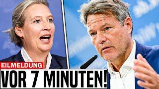 Weidel TICKT AUS & Zerlegt Habeck In EINZELTEILE! REDE GEHT ÜBERALL VIRAL!