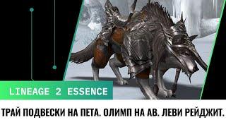 Трай подвески питомца на 3. Второй день олимпа на АВ. Леви рейджит.